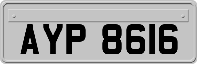 AYP8616