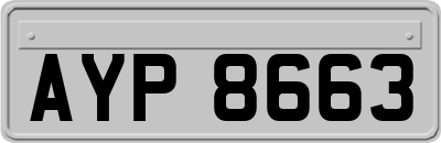 AYP8663
