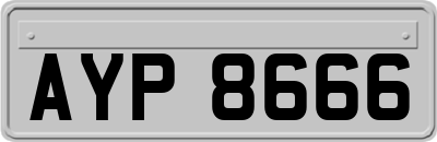 AYP8666