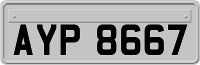 AYP8667