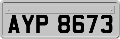 AYP8673