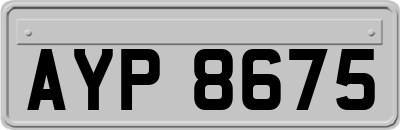 AYP8675