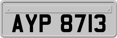 AYP8713
