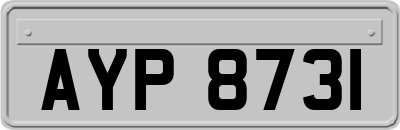 AYP8731