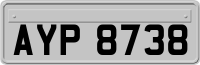 AYP8738