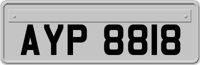 AYP8818