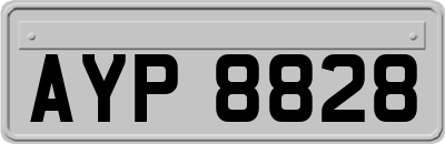 AYP8828