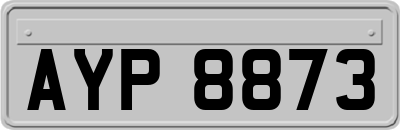 AYP8873