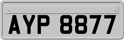 AYP8877