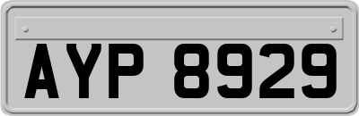 AYP8929
