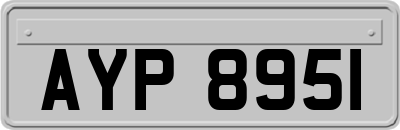 AYP8951