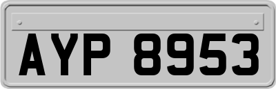 AYP8953
