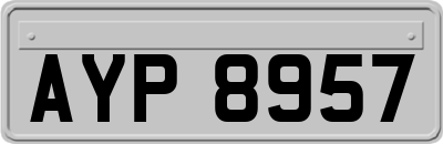 AYP8957