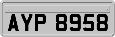 AYP8958