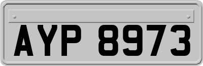 AYP8973