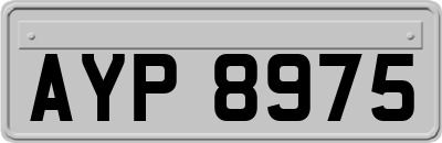 AYP8975