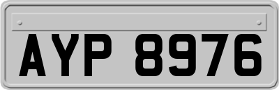 AYP8976