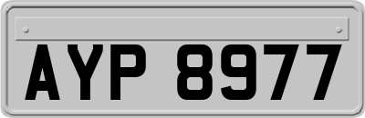 AYP8977