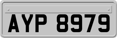 AYP8979