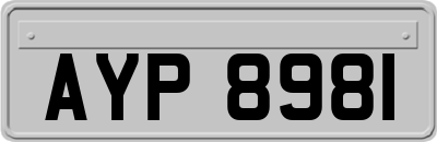 AYP8981