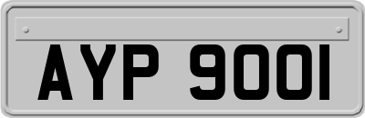 AYP9001