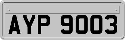 AYP9003