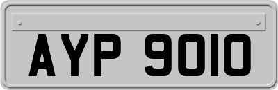 AYP9010