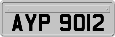 AYP9012