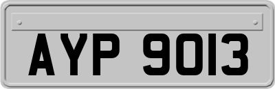 AYP9013