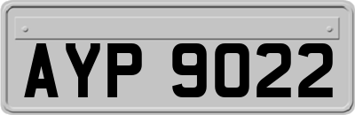 AYP9022
