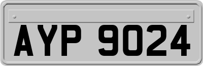 AYP9024