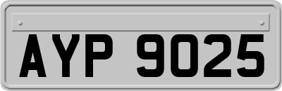 AYP9025