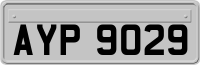 AYP9029