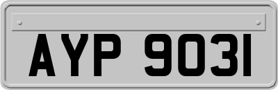 AYP9031