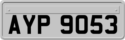 AYP9053
