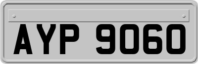 AYP9060