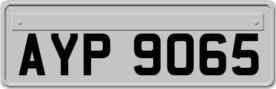 AYP9065
