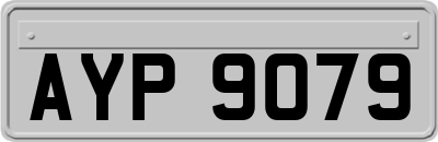 AYP9079