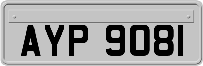AYP9081