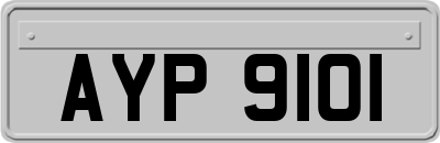 AYP9101