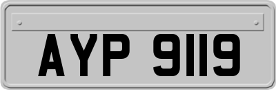 AYP9119