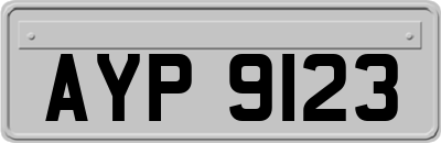 AYP9123