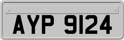 AYP9124