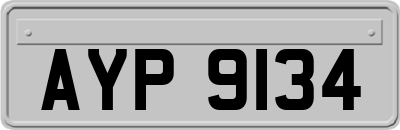 AYP9134