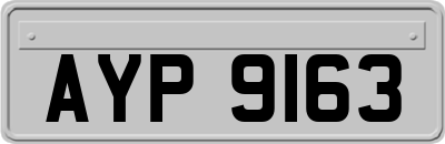 AYP9163