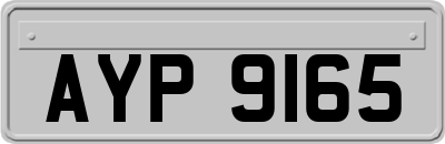 AYP9165