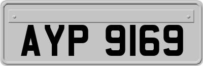 AYP9169