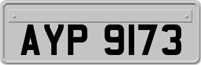 AYP9173