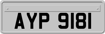 AYP9181