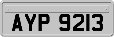 AYP9213